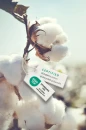 mediven-cotton-Produktseite-2to3-Bild-Hangtag-EN-72dpi-new(1).jpg
